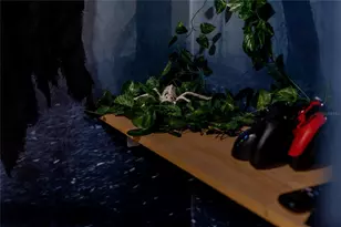 2041 Lacie Jo Ln, Kissimmee, FL 34743 - Photo 44