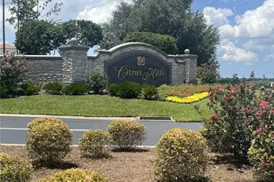 587 N Riva Ridge Path, Inverness, FL 34453 - Photo 4