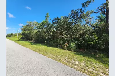 Lot 9 E Thyme Avenue, Eustis, FL 32736 - Photo 2