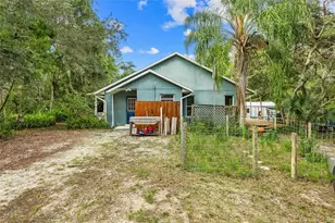 42108 Pine Valley Dr, Paisley, FL 32767 - Photo 1