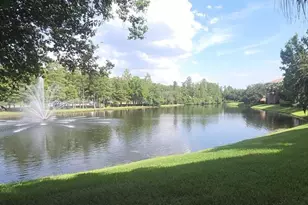 13584 Turtle Marsh Loop, Orlando, FL 32837 - Photo 36