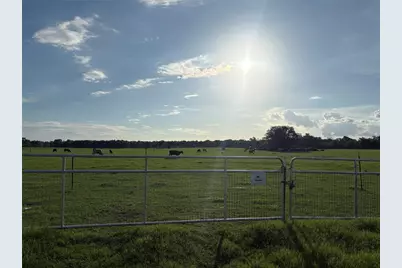 13994 County Road 209, Oxford, FL 34484 - Photo 2