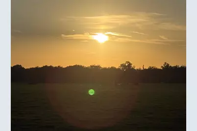 13994 County Road 209, Oxford, FL 34484 - Photo 4