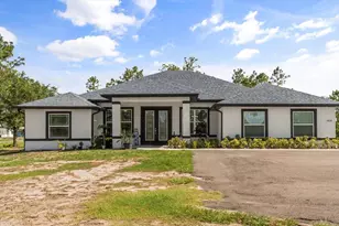 18826 Reynolds Pkwy, Orlando, FL 32833 - Photo 2