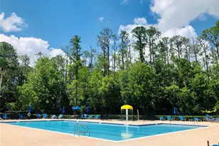 14715 Buckingham Gate Ct, Orlando, FL 32828 - Photo 58