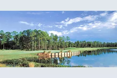 14715 Buckingham Gate Court, Orlando, FL 32828 - Photo 68