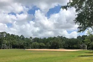 14715 Buckingham Gate Ct, Orlando, FL 32828 - Photo 64