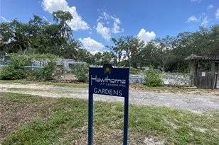 164 Royal Palm Dr, Leesburg, FL 34748 - Photo 78