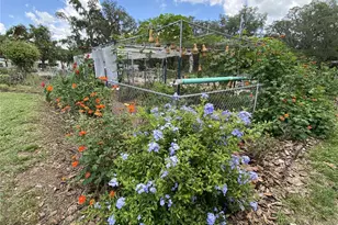 164 Royal Palm Dr, Leesburg, FL 34748 - Photo 84