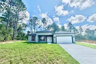 8051 N Pinkinz Way, Citrus Springs, FL 34433 - Photo 2