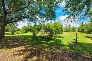 11817 Great Commission Way, Orlando, FL 32832 - Photo 6