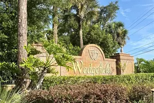 2831 Village Pine Terrace, Orlando, FL 32833 - Photo 40