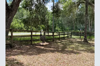 63 Lake Wood Circle, Ocala, FL 34482 - Photo 18