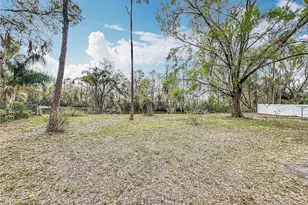 3322 Heather Glynn Dr, Mulberry, FL 33860 - Photo 38