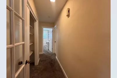 5627 Oakland Drive, Tampa, FL 33617 - Photo 28