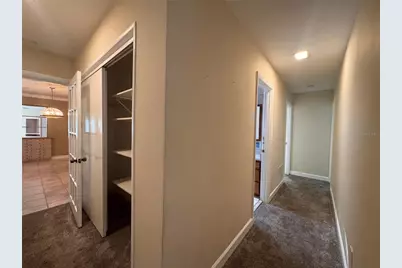 5627 Oakland Drive, Tampa, FL 33617 - Photo 30