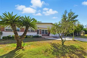 5627 Oakland Dr, Tampa, FL 33617 - Photo 4