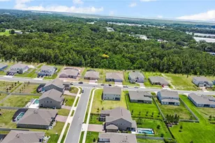 5264 Obsidian Gate Dr, Mount Dora, FL 32757 - Photo 48