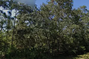 Theresa Ave, Interlachen, FL 32148 - Photo 1