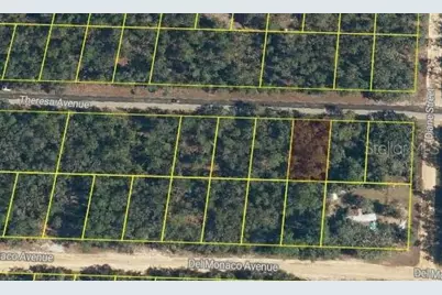 Theresa Avenue, Interlachen, FL 32148 - Photo 2