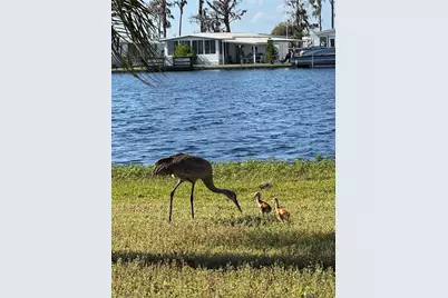 1401 W Highway 50 #152, Clermont, FL 34711 - Photo 24