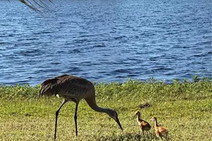 1401 W Hwy 50, Clermont, FL 34711 - Photo 24