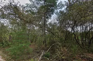 111 N Carolina Dr, Satsuma, FL 32189 - Photo 1