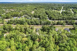 2611 W Royal Palm Dr, Citrus Springs, FL 34434 - Photo 40