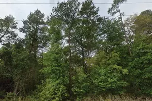 323 Ridge Rd, Satsuma, FL 32189 - Photo 1