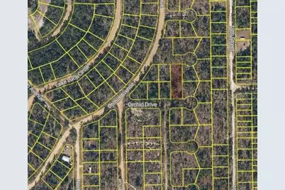 Orchid Drive, Interlachen, FL 32148 - Photo 2