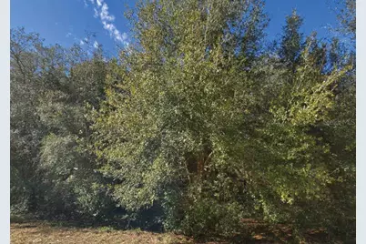 Maltas Avenue, Interlachen, FL 32148 - Photo 1