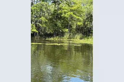Haines Creek Road, Leesburg, FL 34788 - Photo 16