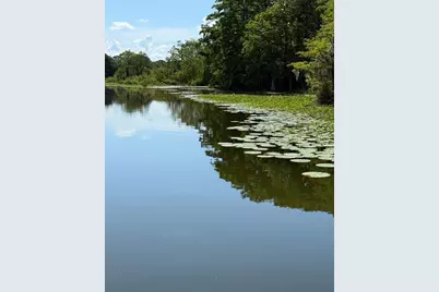 Haines Creek Road, Leesburg, FL 34788 - Photo 8