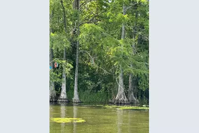 Haines Creek Road, Leesburg, FL 34788 - Photo 18