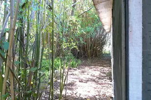 31429 Anna St, Deland, FL 32720 - Photo 4