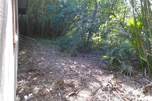 31429 Anna St, Deland, FL 32720 - Photo 8