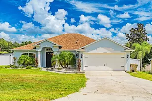 11644 Pineloch Loop, Clermont, FL 34711 - Photo 1