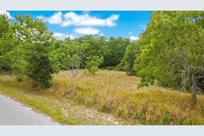 Bahia Rd, Ocala, FL 34472 - Photo 2