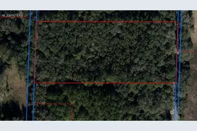 Ne 210th Avenue, Williston, FL 32696 - Photo 2