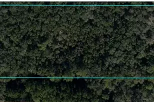 NE 210th Ave, Williston, FL 32696 - Photo 1