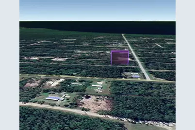 305 Carteret Road, Georgetown, FL 32139 - Photo 8