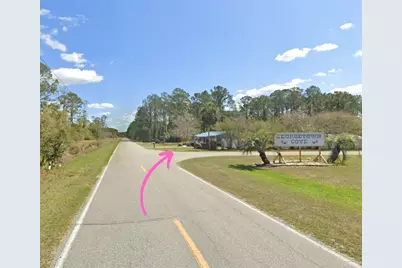 305 Carteret Road, Georgetown, FL 32139 - Photo 1