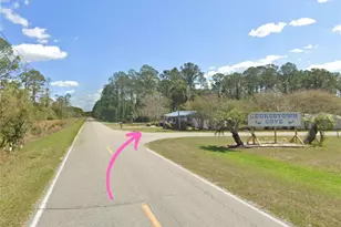 305 Carteret Rd, Georgetown, FL 32139 - Photo 1