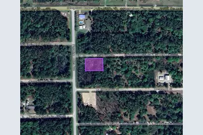305 Carteret Road, Georgetown, FL 32139 - Photo 4