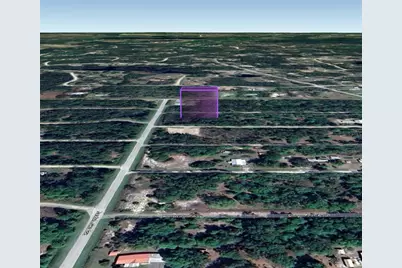 305 Carteret Road, Georgetown, FL 32139 - Photo 6