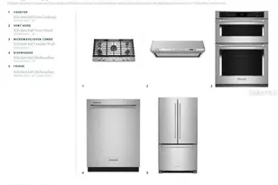 2577 Fiddle Leaf Loop, Apopka, FL 32712 - Photo 6