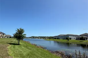 4113 Sagefield Dr, Harmony, FL 34773 - Photo 46