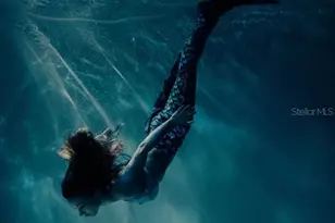 12368 Piping Plover Ave, Weeki Wachee, FL 34614 - Photo 42