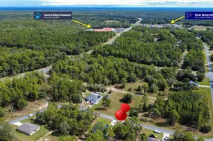 7130 N Glenridge Cir, Citrus Springs, FL 34434 - Photo 4