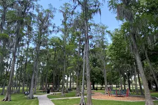 1709 Shady Ridge Ct, Orlando, FL 32807 - Photo 42